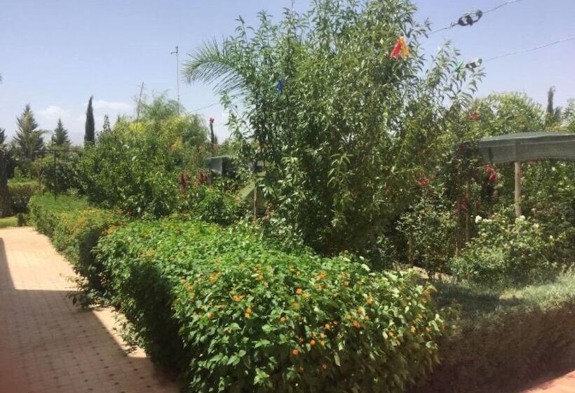 بنسيون Sun And Vacances