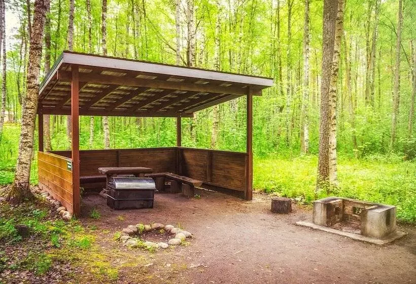 リゾートホテル Baza Otdykha Rybachiy Bereg