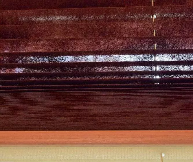 Ryokan Japanese Style Hotel Fukurou Tei