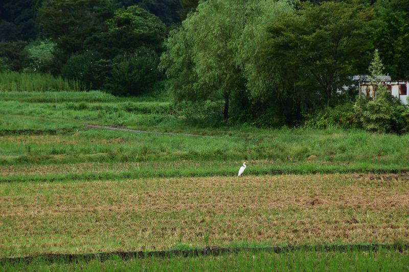 Рёкан Japanese Style Hotel Fukurou Tei