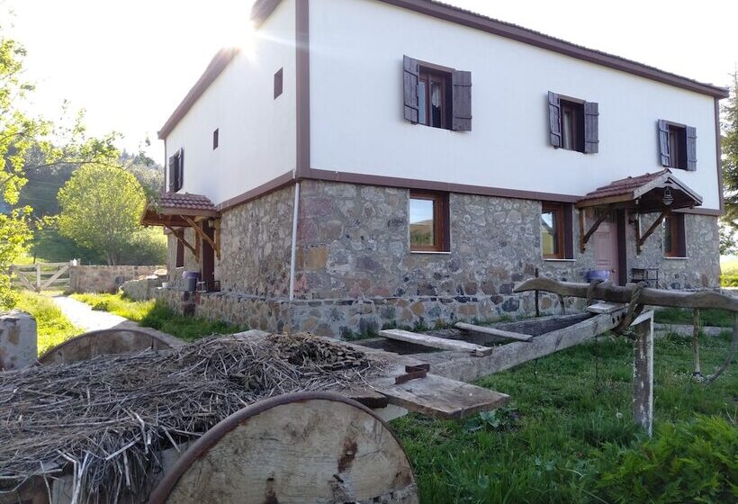 Tas Konak Butik Otel