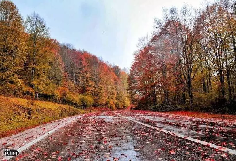 Tas Konak Butik Otel