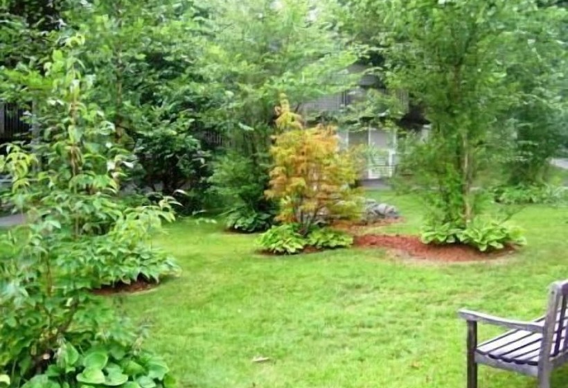 Отель Cedar Park Inn