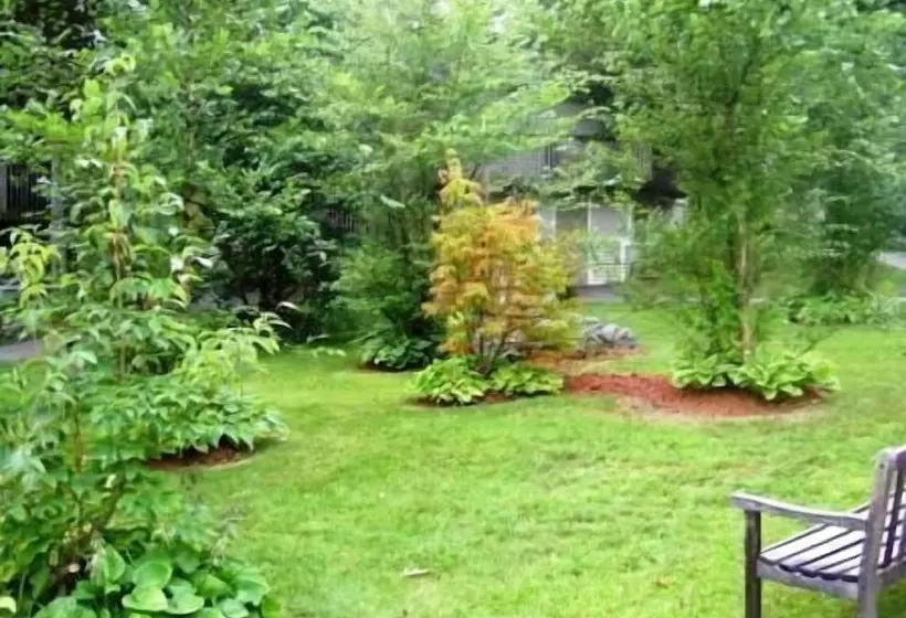 هتل Cedar Park Inn