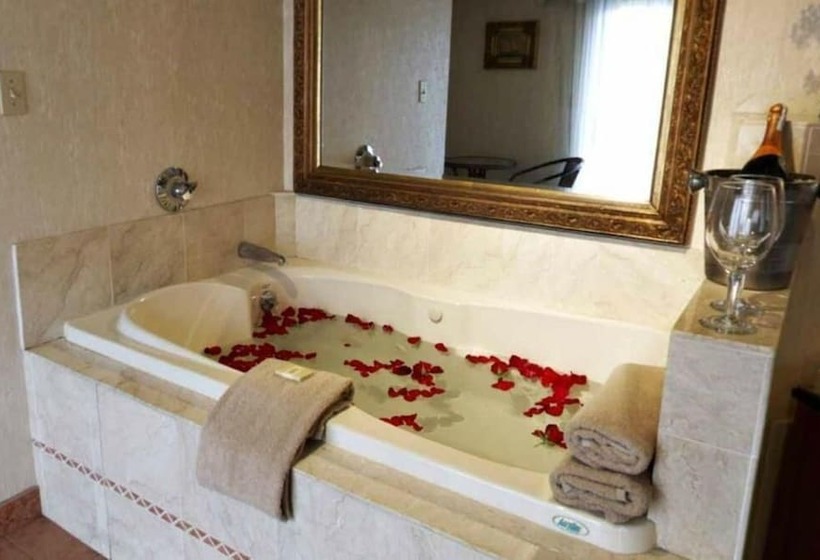 Отель Cedar Park Inn