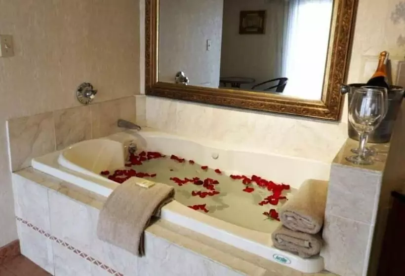 هتل Cedar Park Inn