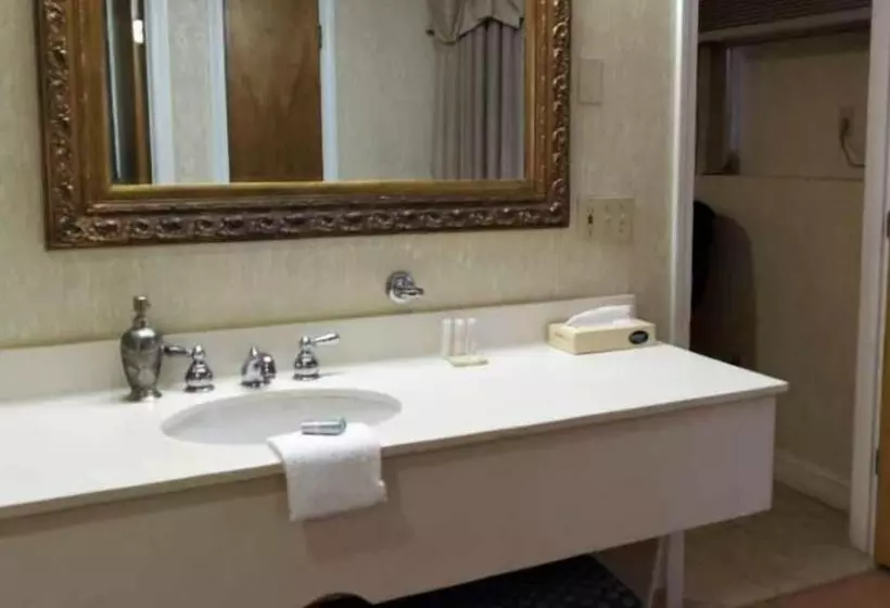 هتل Cedar Park Inn