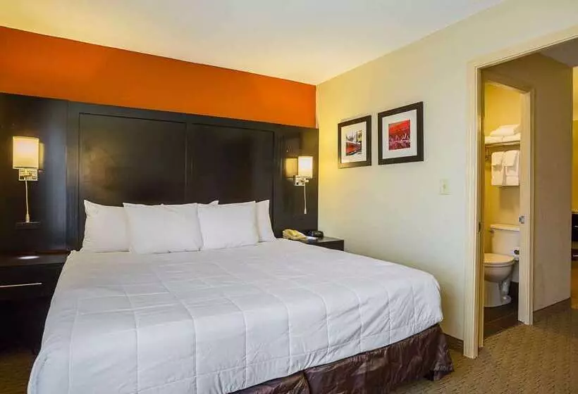 ホテル Clarion Inn & Suites