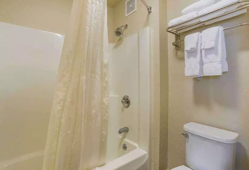 ホテル Clarion Inn & Suites