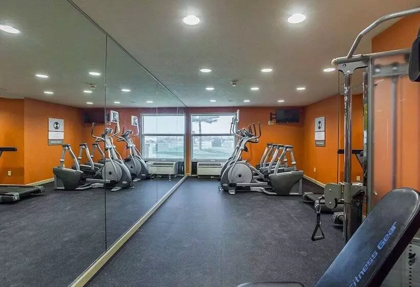 ホテル Clarion Inn & Suites