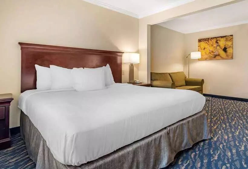هتل Comfort Inn & Suites New Orleans Airport North
