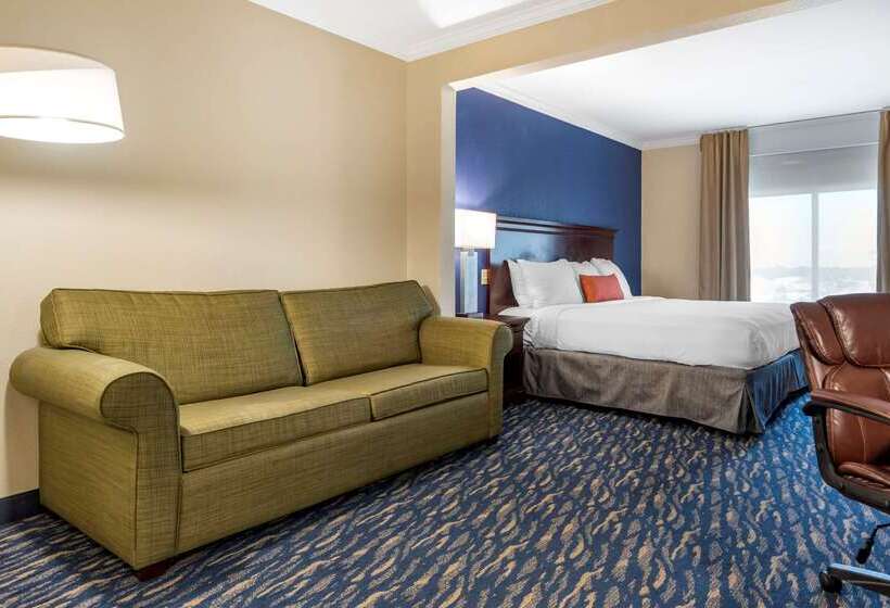酒店 Comfort Inn & Suites New Orleans Airport North