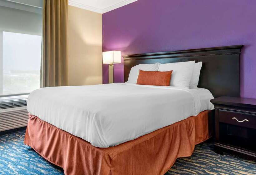 酒店 Comfort Inn & Suites New Orleans Airport North