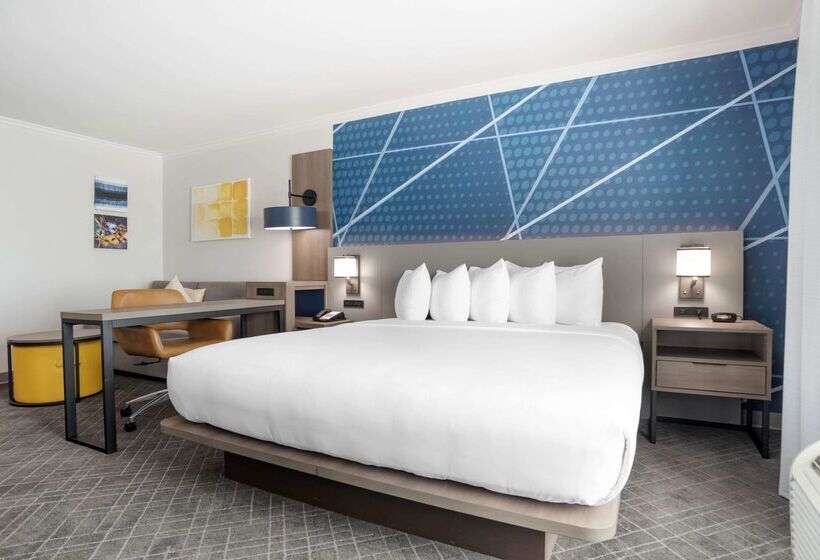 酒店 Comfort Inn & Suites New Orleans Airport North