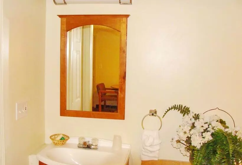 Отель Flagship Inn & Suites