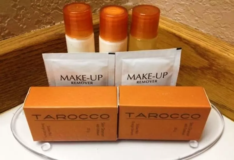 Отель Flagship Inn & Suites