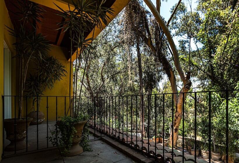 فندق Hacienda Del Molino