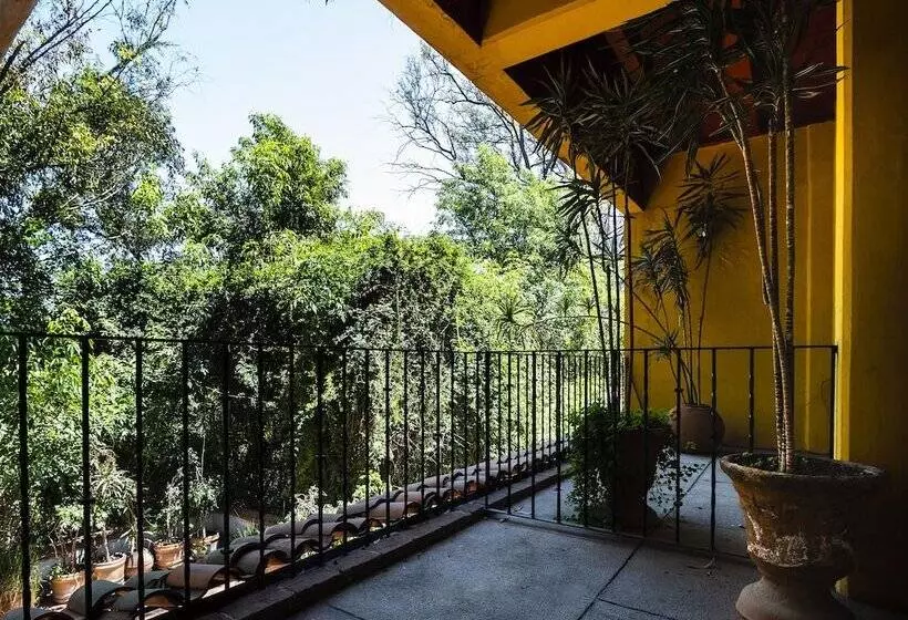 فندق Hacienda Del Molino