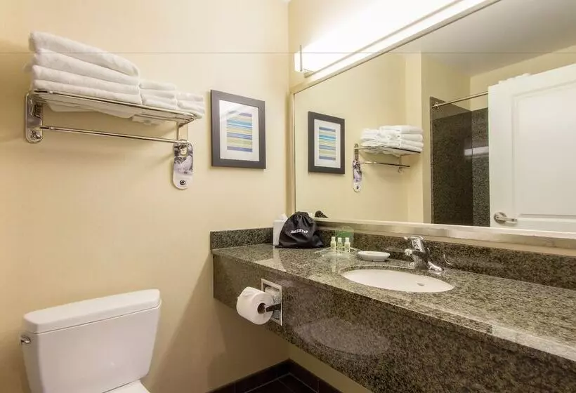 호텔 Holiday Inn Scottsdale North  Airpark, An Ihg