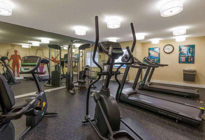 酒店 Mainstay Suites Detroit Farmington Hills