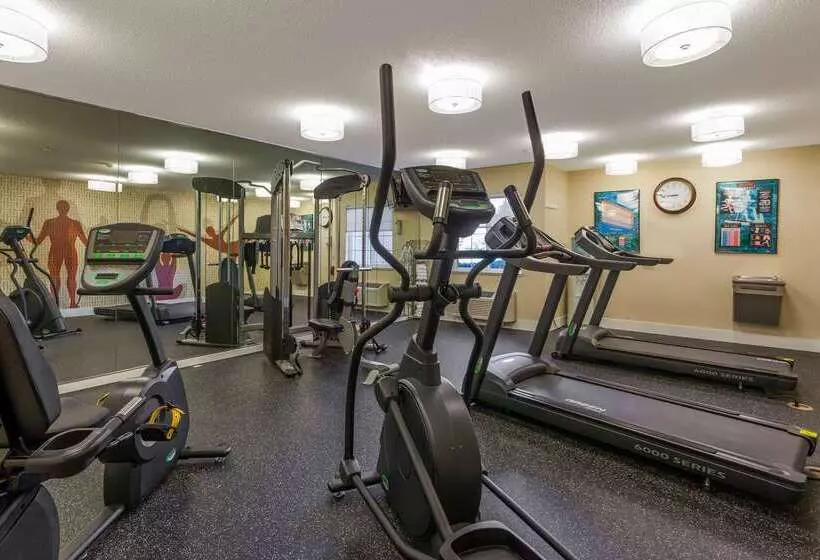 酒店 Mainstay Suites Detroit Farmington Hills