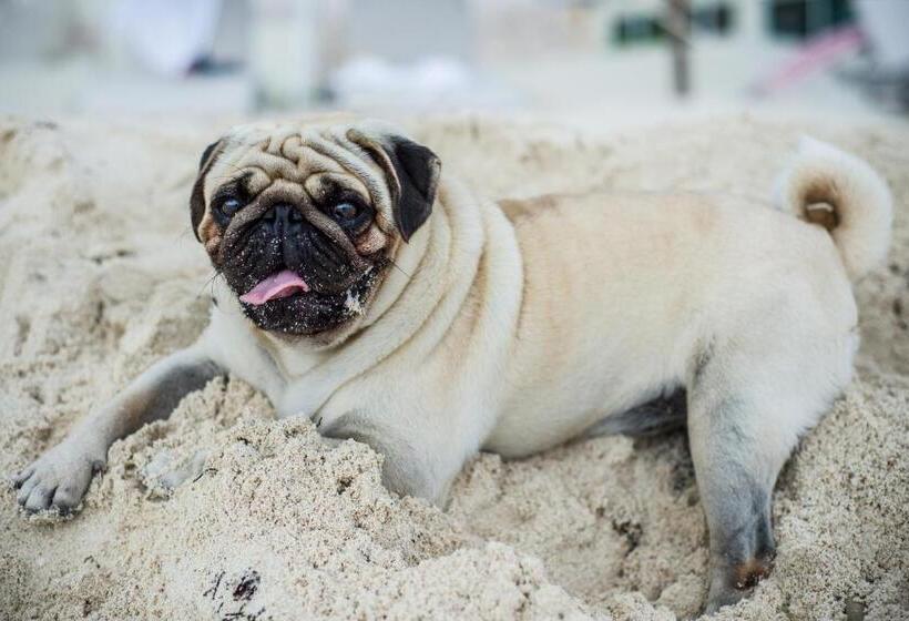 Szálloda Oleo Cancun Playa All Inclusive Resort