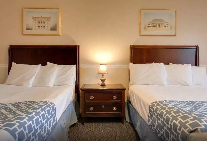 בית מלון כפרי Alpine Inn & Suites Rockford