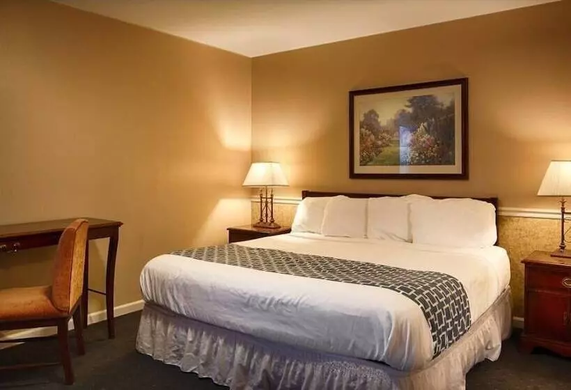 בית מלון כפרי Alpine Inn & Suites Rockford