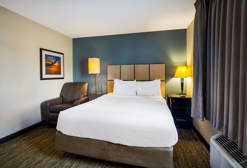 ホテル Sonesta Simply Suites St Louis Earth City