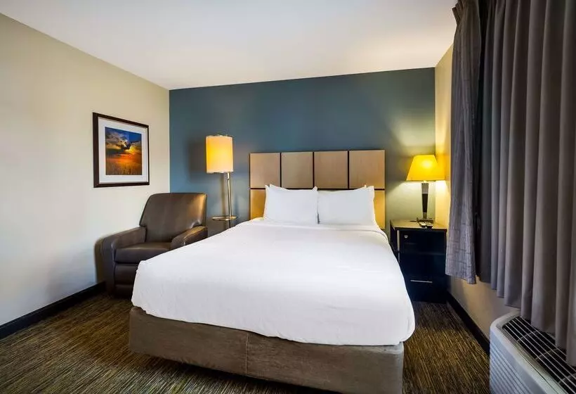 هتل Sonesta Simply Suites St Louis Earth City