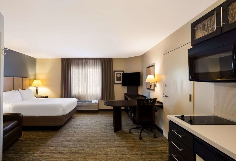 ホテル Sonesta Simply Suites St Louis Earth City