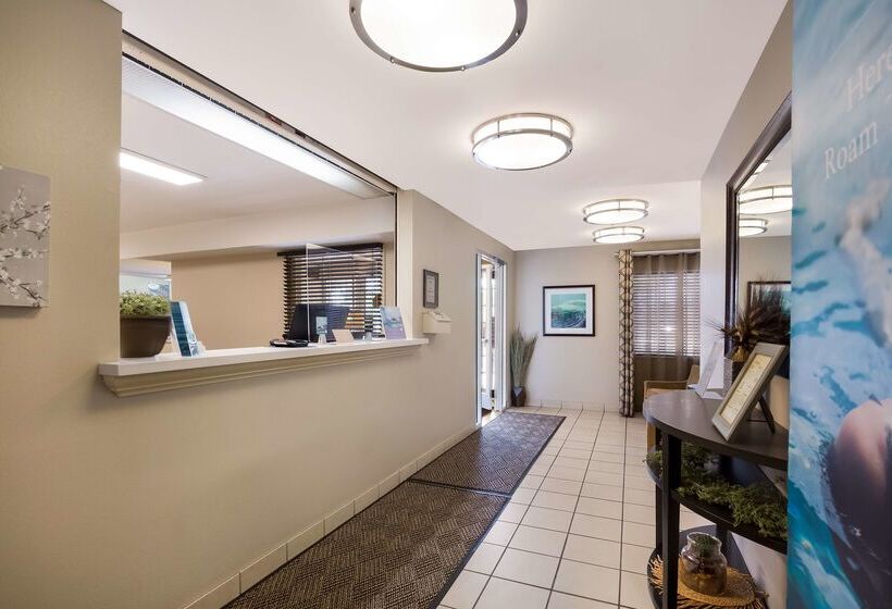 ホテル Sonesta Simply Suites St Louis Earth City