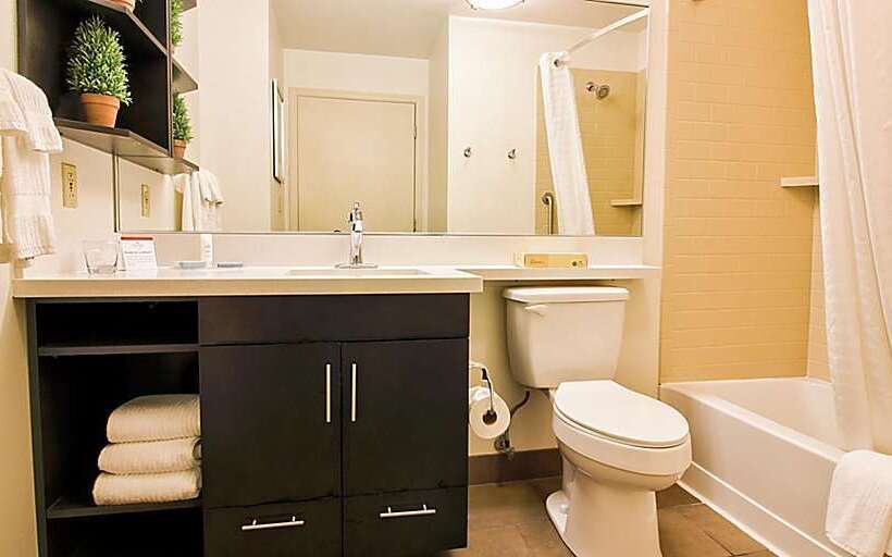 ホテル Sonesta Simply Suites St Louis Earth City