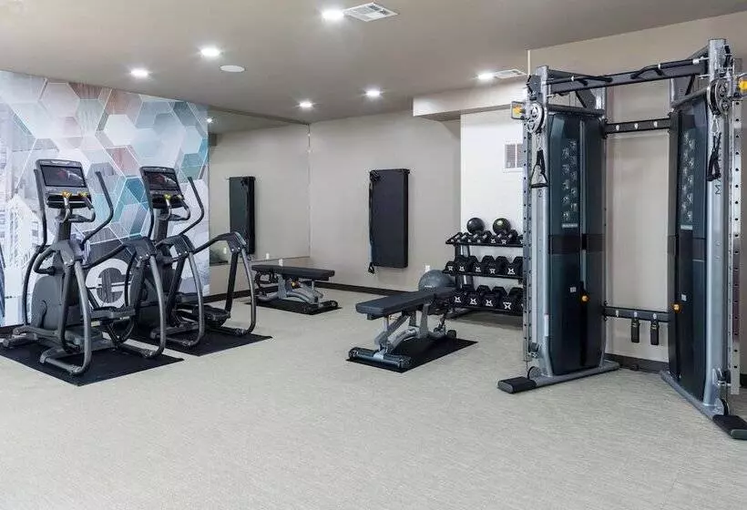 Hotel Springhill Suites By Marriott Baton Rouge South