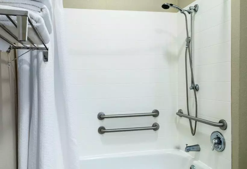 Hotel Springhill Suites By Marriott Baton Rouge South