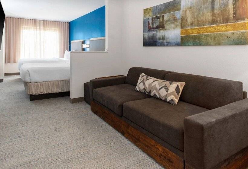 ホテル Springhill Suites By Marriott Baton Rouge South