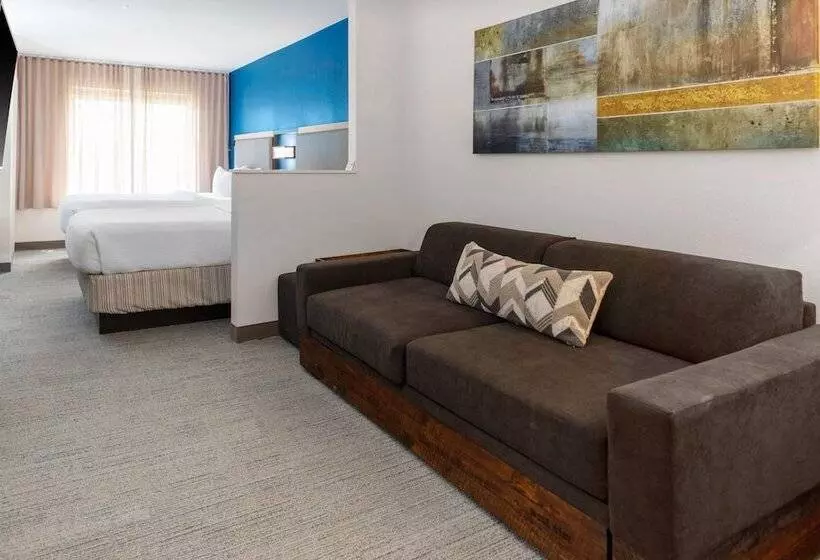 Hotel Springhill Suites By Marriott Baton Rouge South