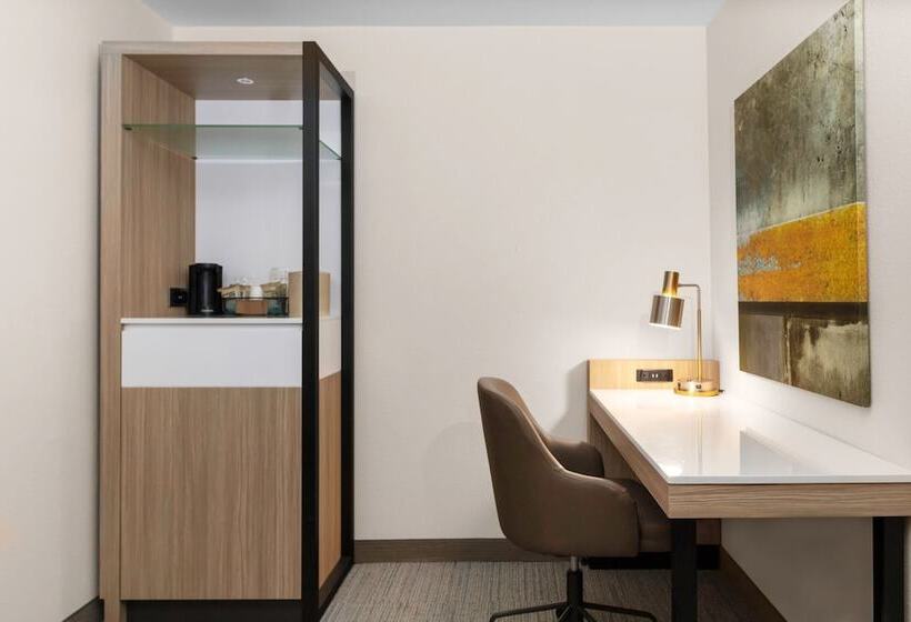 ホテル Springhill Suites By Marriott Baton Rouge South