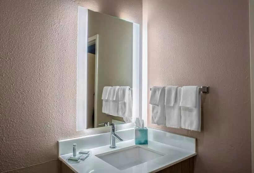 Hotel Springhill Suites By Marriott Baton Rouge South