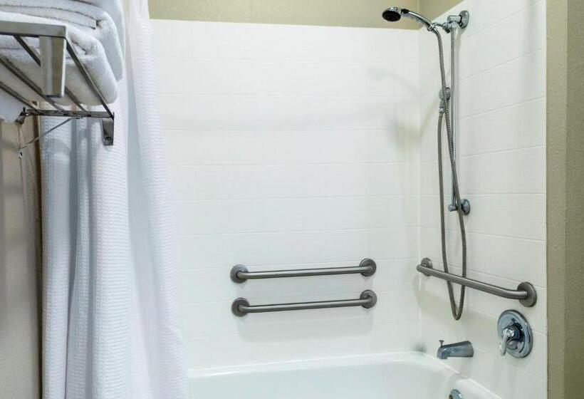 ホテル Springhill Suites By Marriott Baton Rouge South