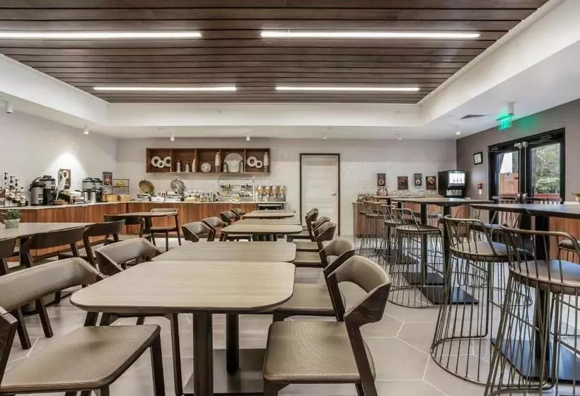 Otel Springhill Suites By Marriott Austin The Domain Area