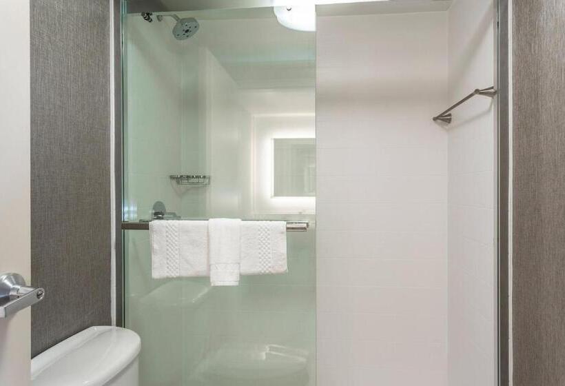 Szálloda Springhill Suites By Marriott Austin The Domain Area