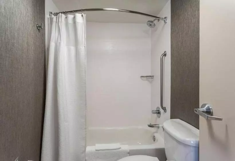 Otel Springhill Suites By Marriott Austin The Domain Area