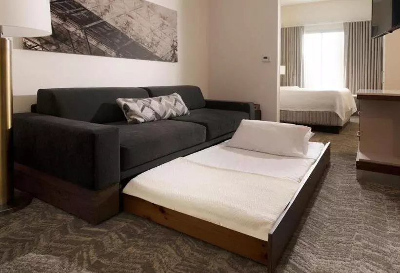 Otel Springhill Suites By Marriott Austin The Domain Area