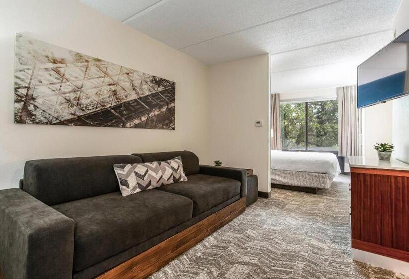 Szálloda Springhill Suites By Marriott Austin The Domain Area