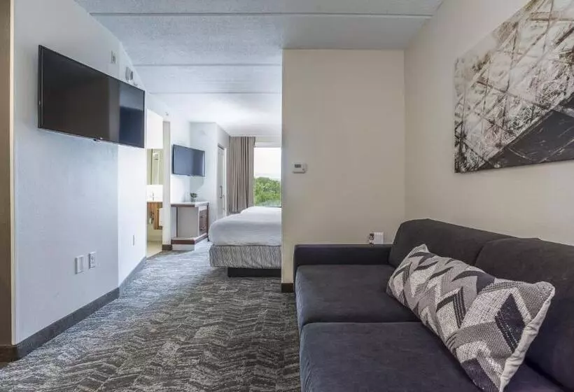 Otel Springhill Suites By Marriott Austin The Domain Area