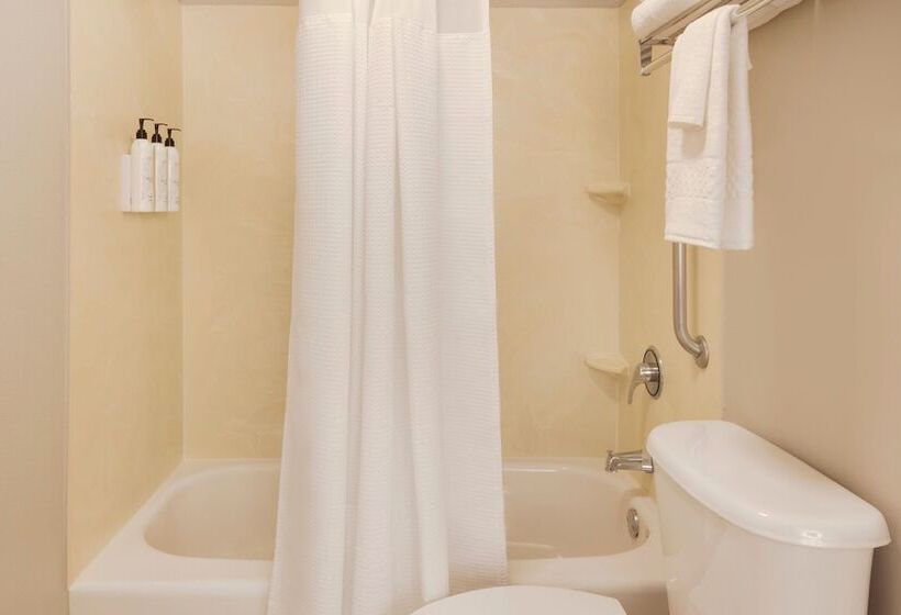 Hotel Springhill Suites By Marriott Newark International Airport