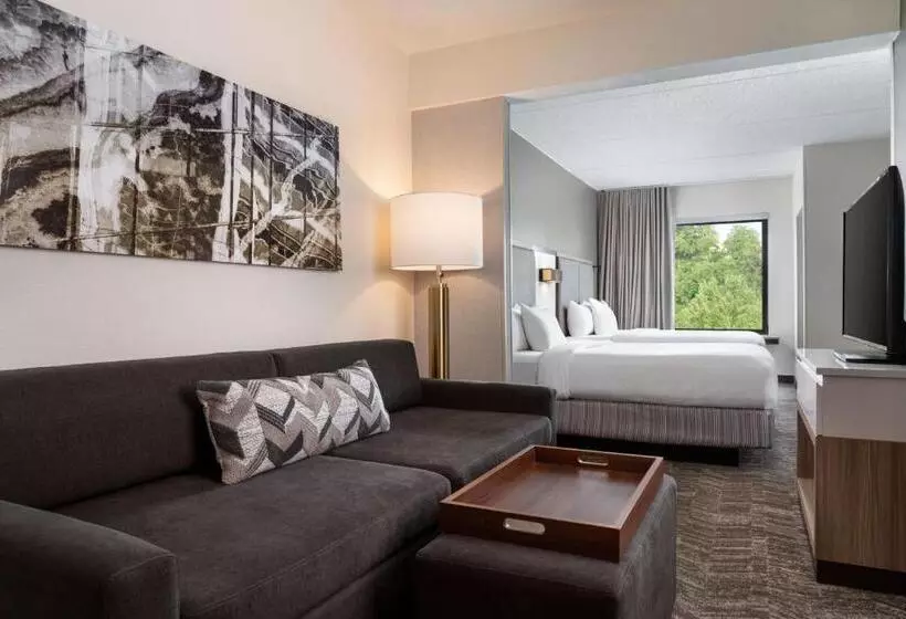 هتل Springhill Suites West Mifflin