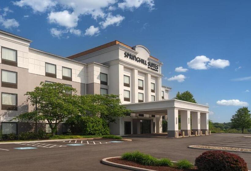 ホテル Springhill Suites West Mifflin