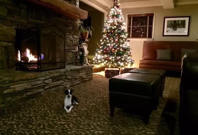 هتل The Mammoth Creek Inn